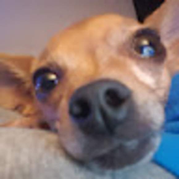 nancycoffey238